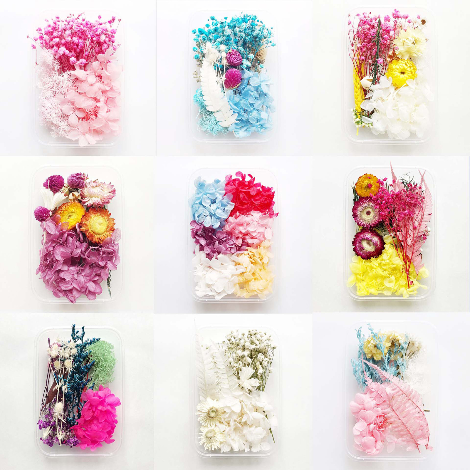 GadgetVLot Diy Dried Flowers Material Eternal Flower Artificial Multicolor  Festival Supplies Home 